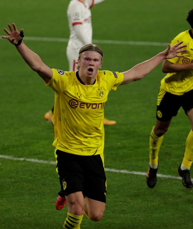 结果表明 结果表明