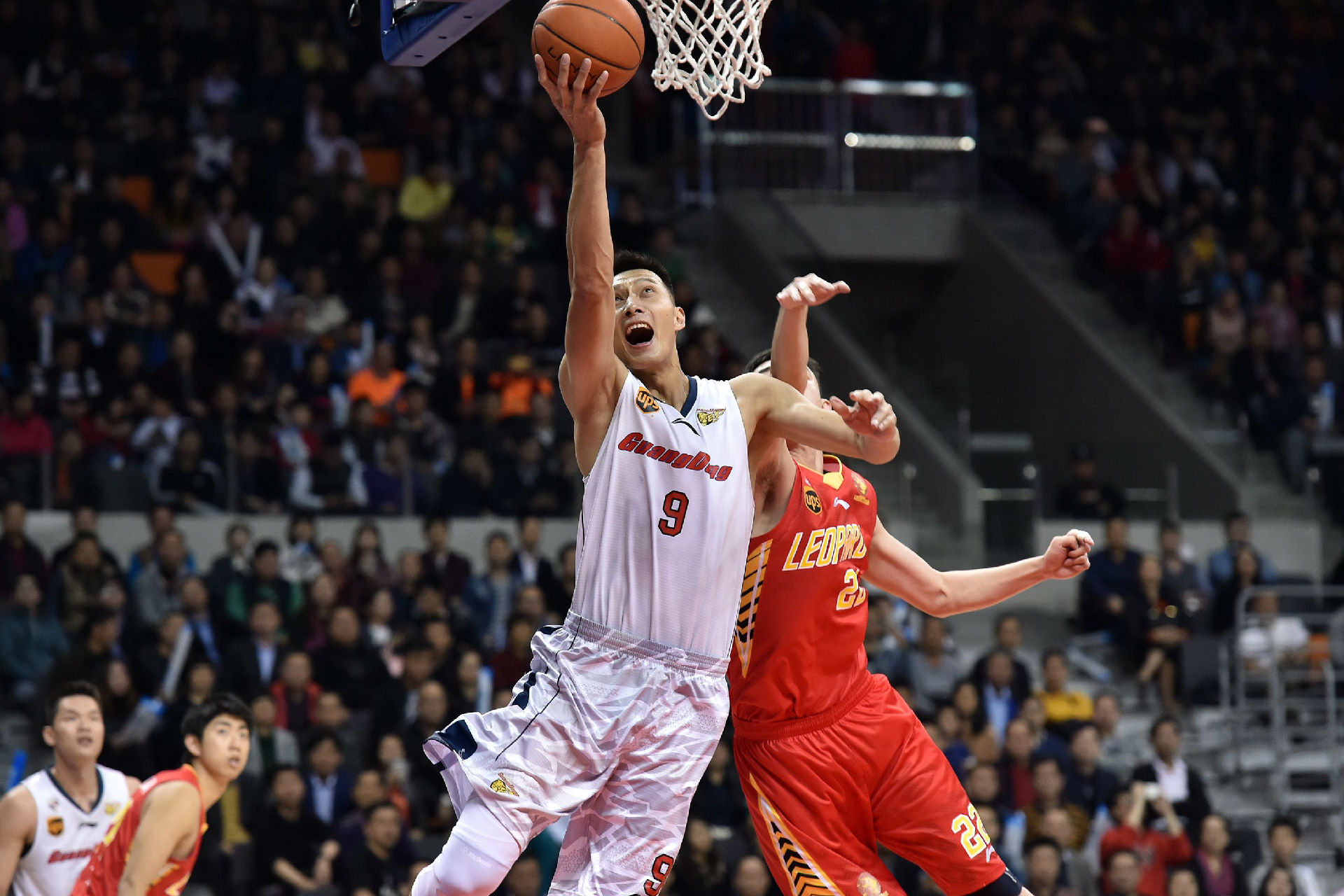 篮板保护 篮板保护